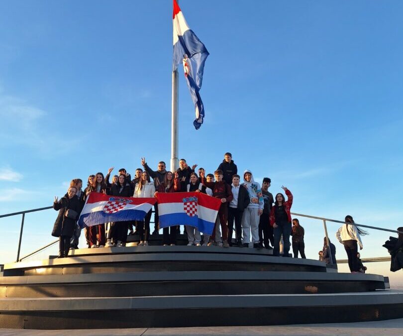 VUKOVAR U SRCIMA NAŠIH OSMAŠA